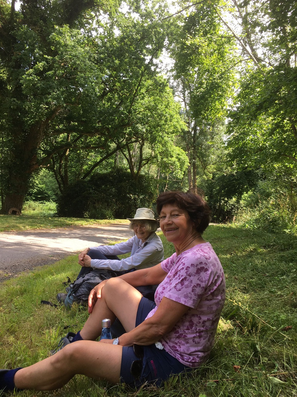 Balcombe SE01