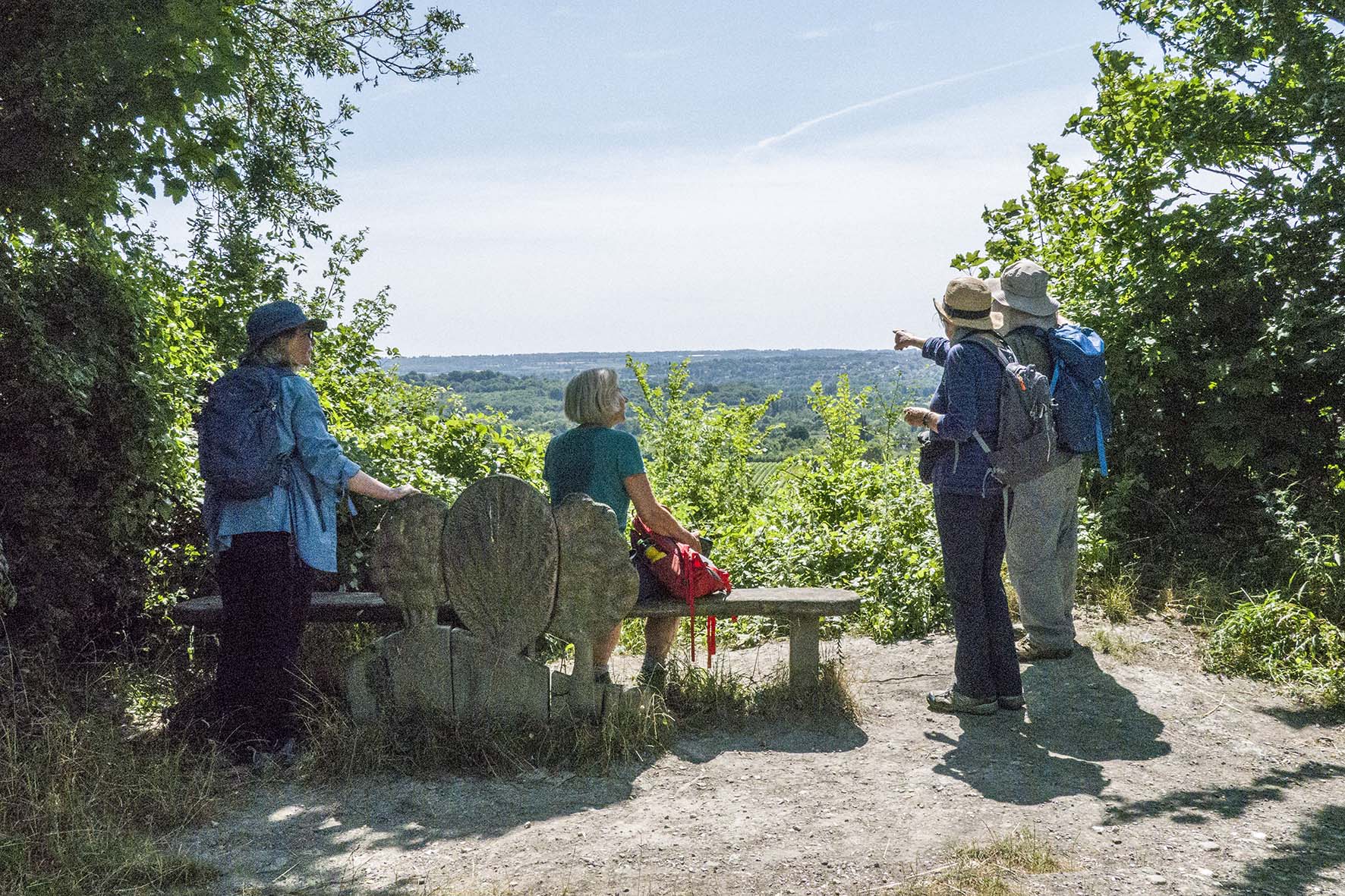HallingtoBearstedRamblersViewpoint