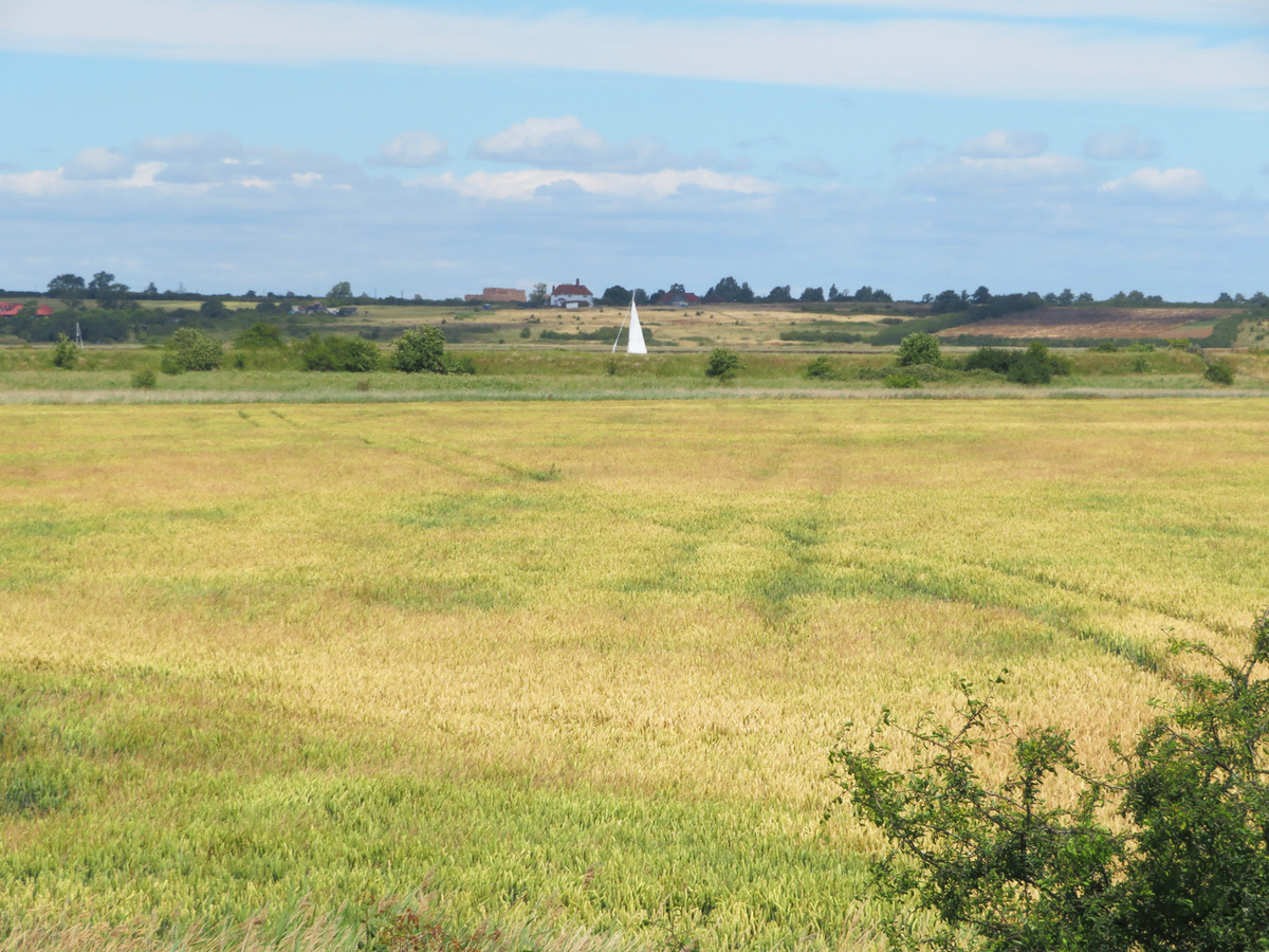Kent Coast 05