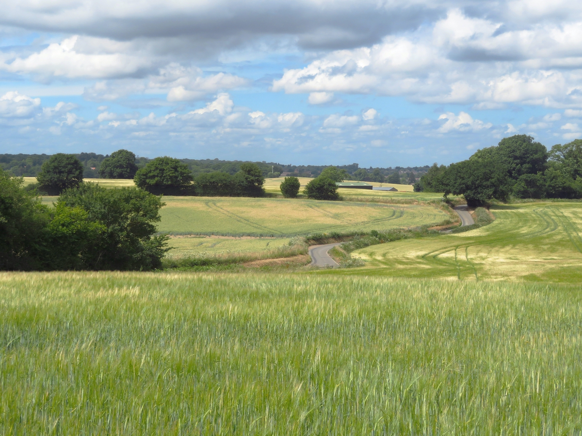 SA Welwyn 07