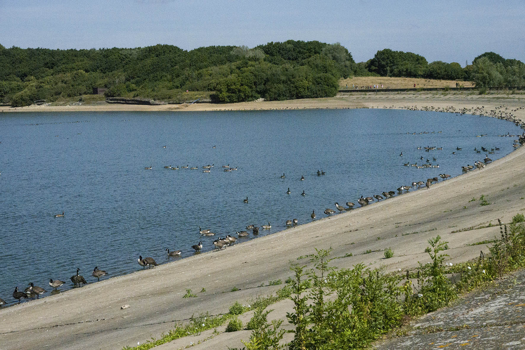 7SussexChurchesArlingtonReservoir 1