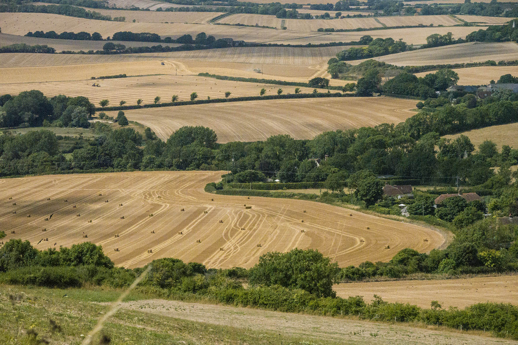7SussexChurchesDowns