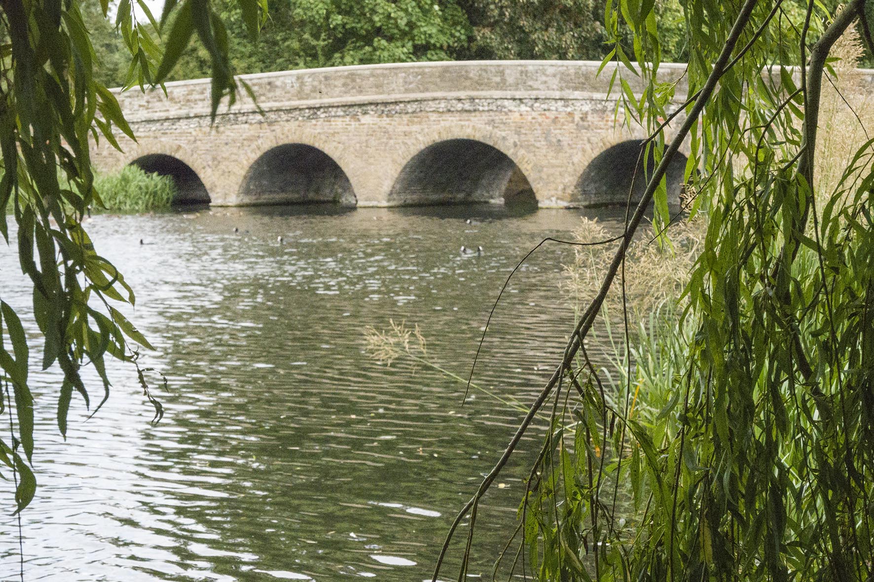 AlbanyParktoBexleyRiverCray 5ArchBridge 2