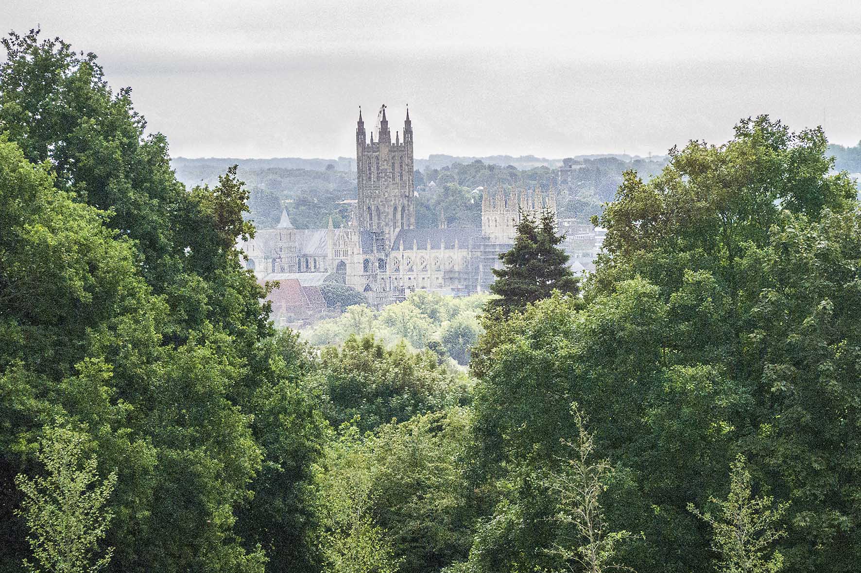 CrabandWinkleCathedral