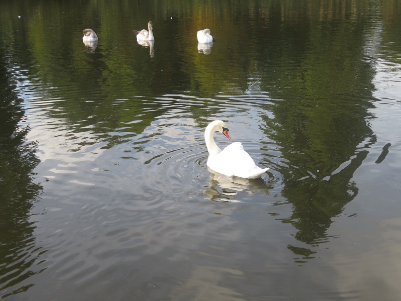 Brockwell 02