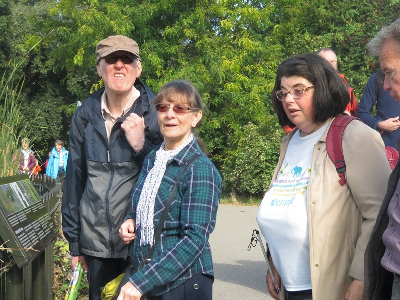 Brockwell 04