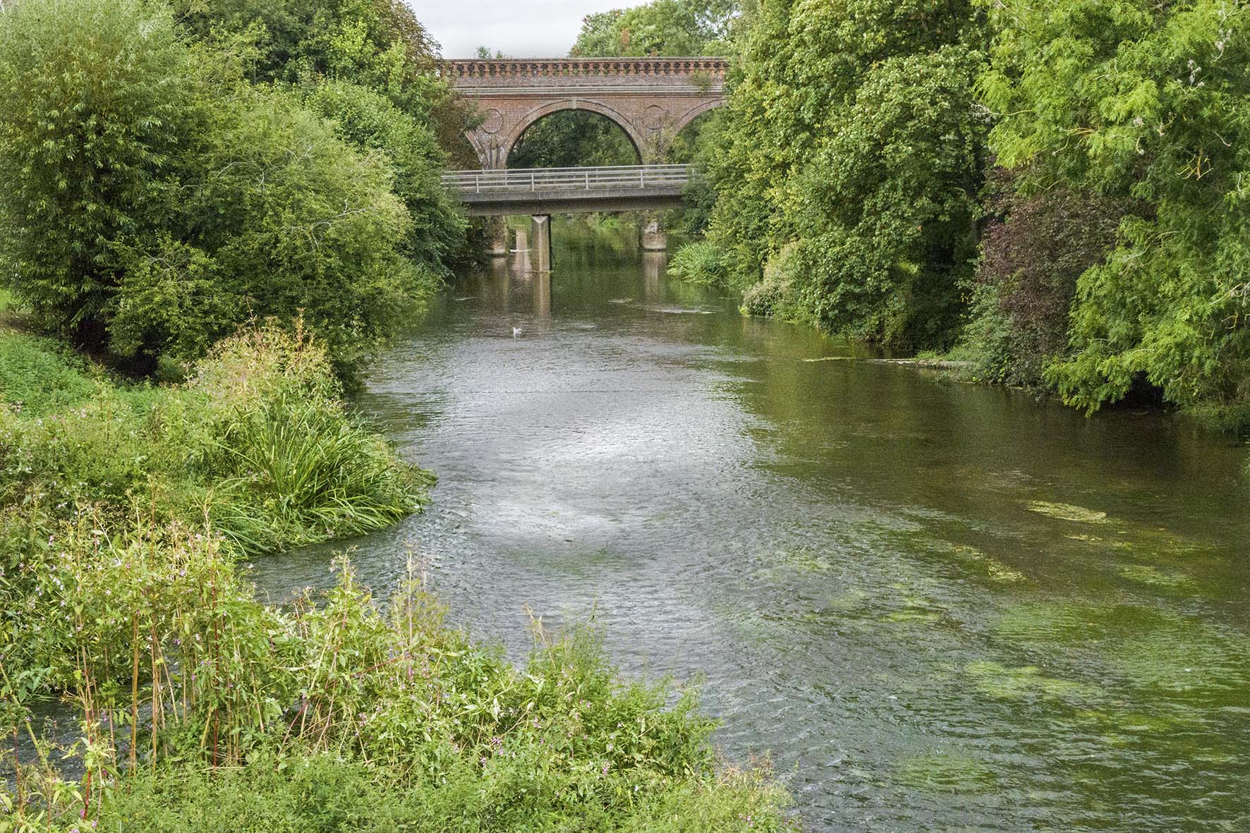DorkingLeatherheaMoleBridgeLeatherhead 2