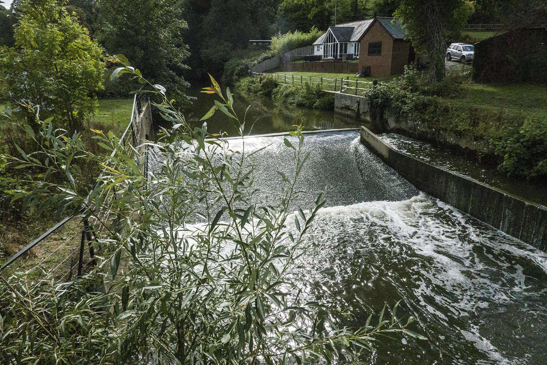DorkingLeatherheaMoleWeir