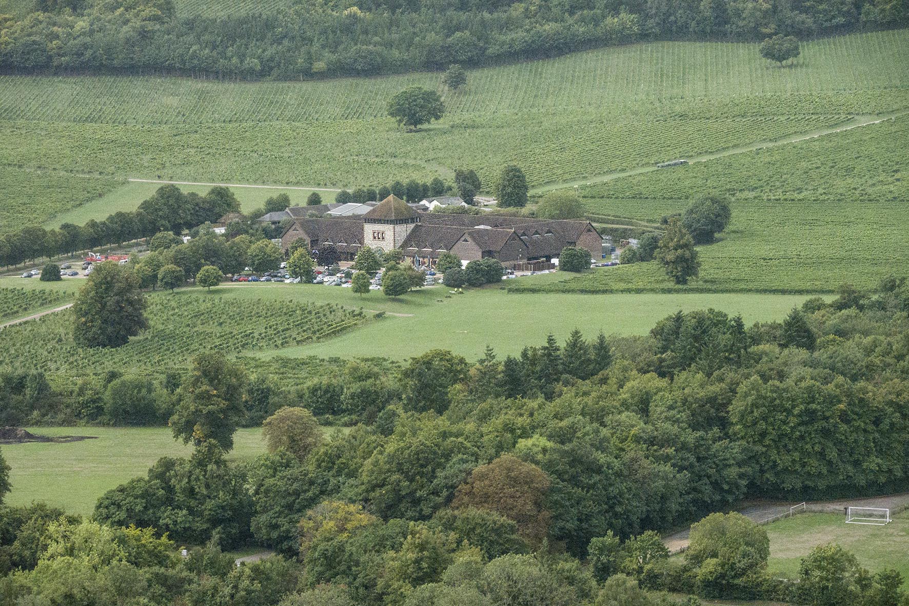 DorkingLeatherheadBoxHillViewDenbiesVineyard