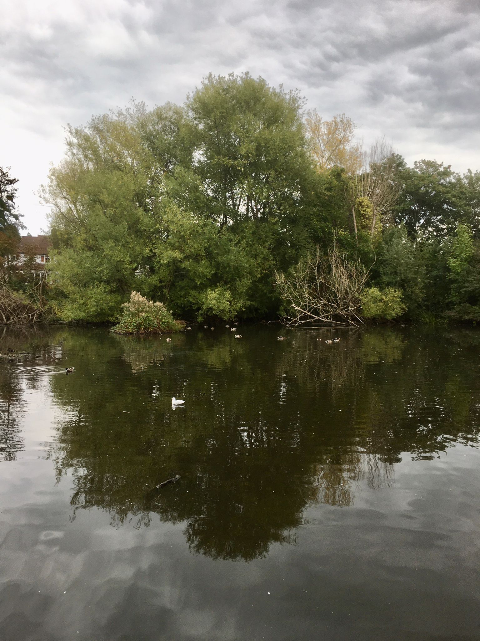 Tolworth SE02