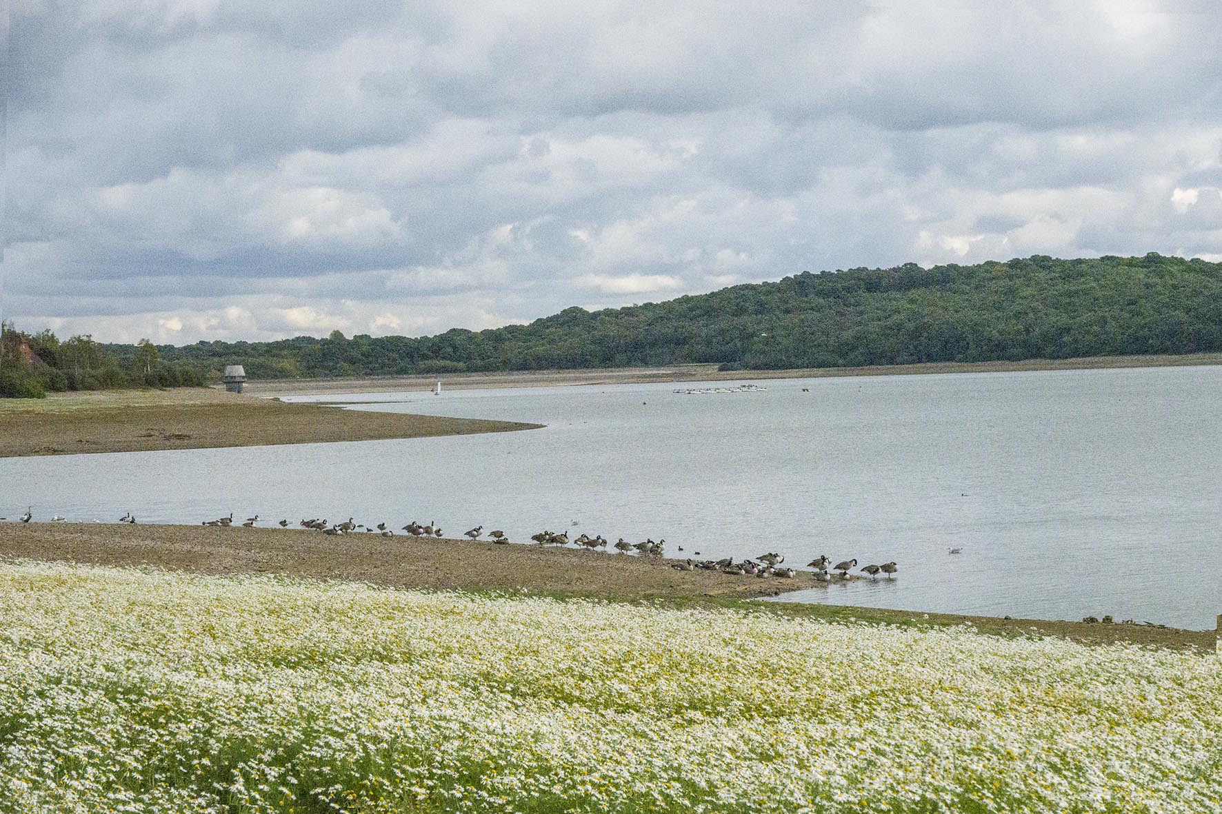 WadhurstCircBewlWater 1