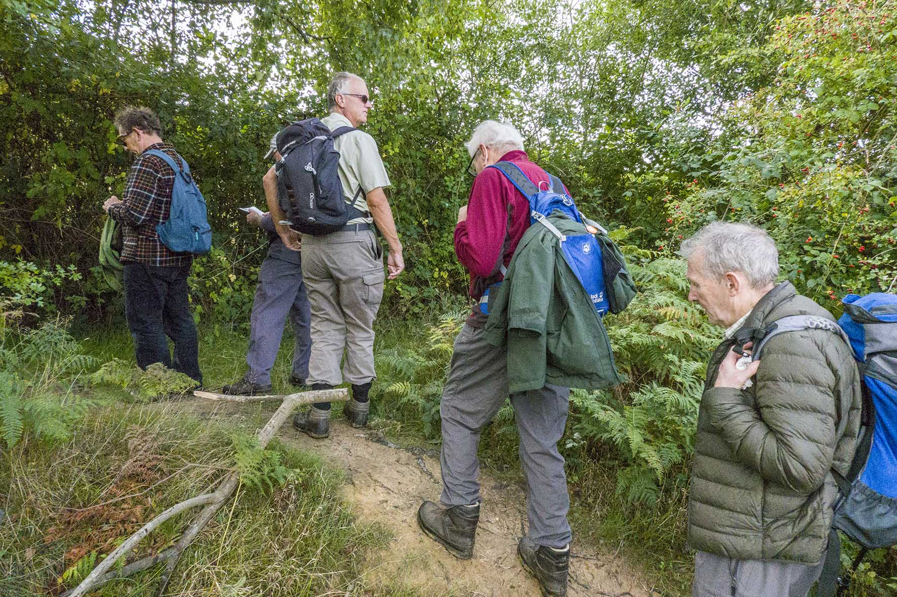 WadhurstCircRamblers 1