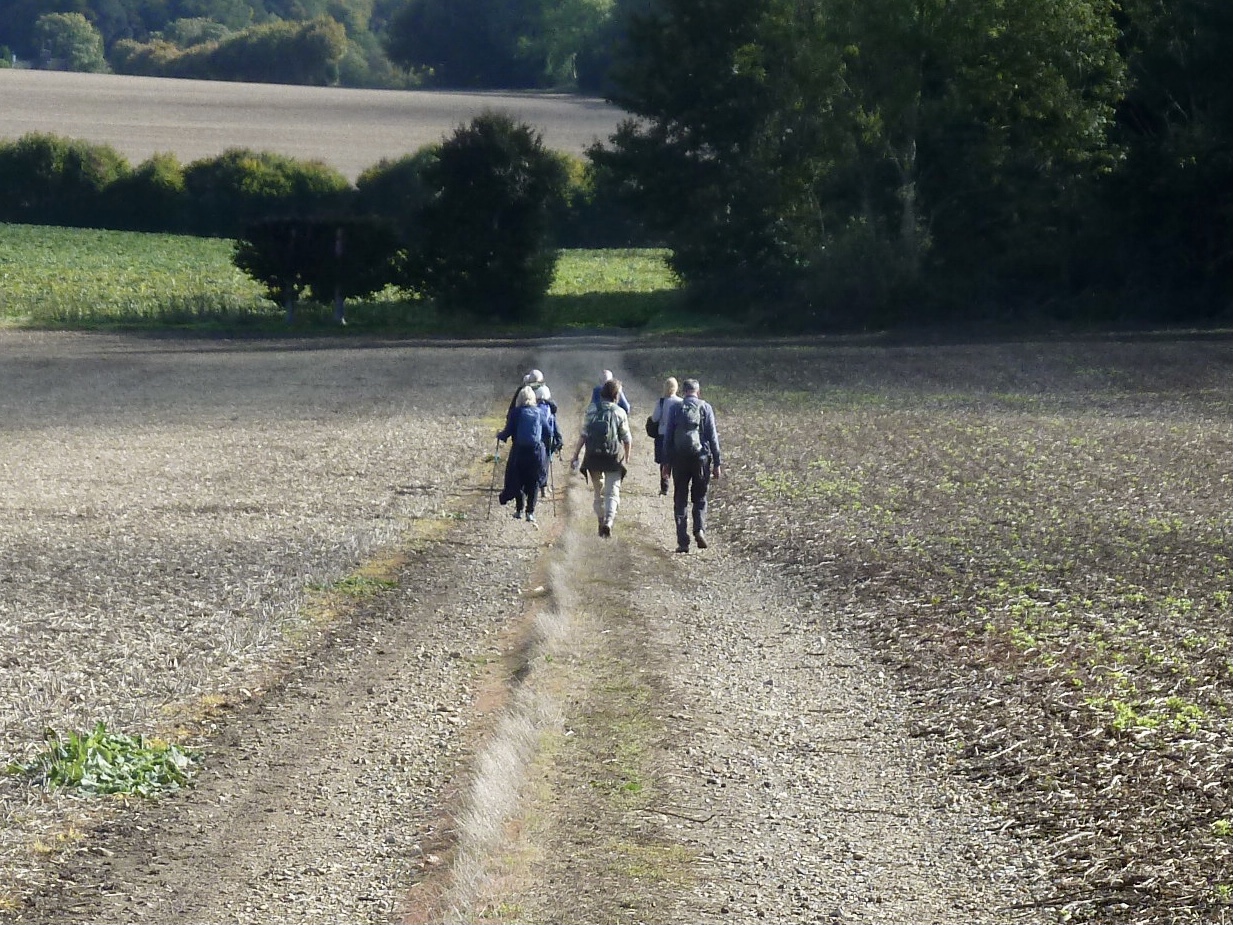 Pilgrims7 GW02