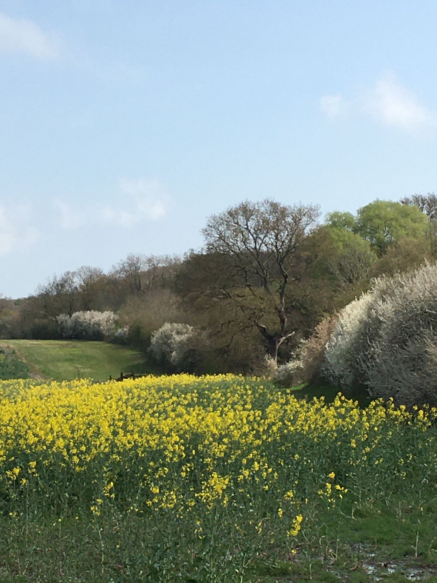 15 APR 2023 HIGHAM TO ROCHESTER