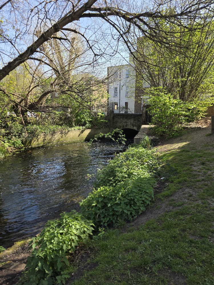Battersea RH Wandle near Colliers Wood