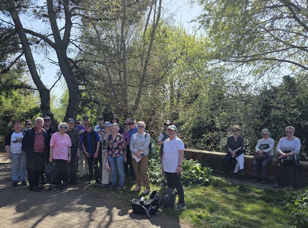Battersea RH walkers on hot spring day