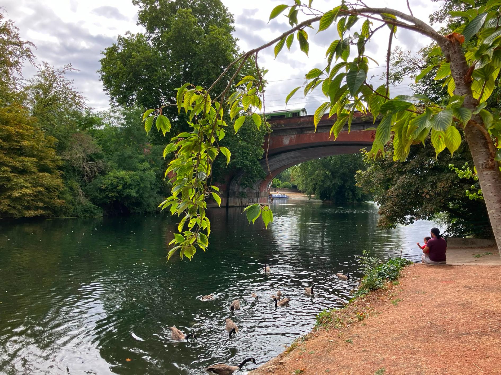 Maidenhead AUG26 SE 3