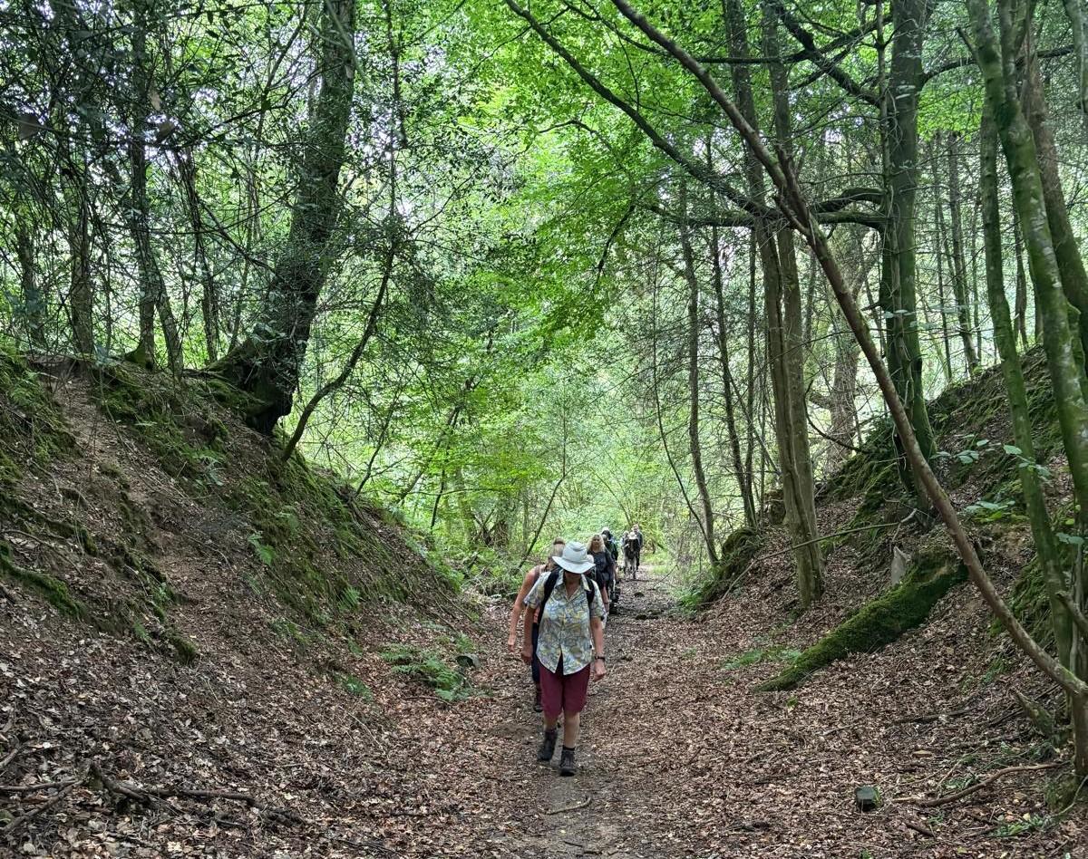 Balcombe SEP26 HamishD 1